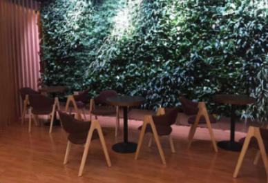 威格健身岁末感恩回馈 活力无限，健康同行