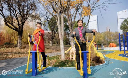 文明实践新风尚，志愿服务谱新篇——张家港市文明实践志愿服务主题公园建成投用